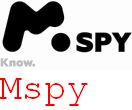 What Is Mspy